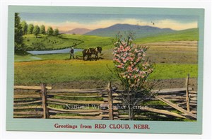 Image description is not available for PHO-264-802